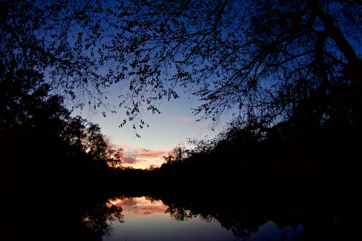 nightfall, suwannee river