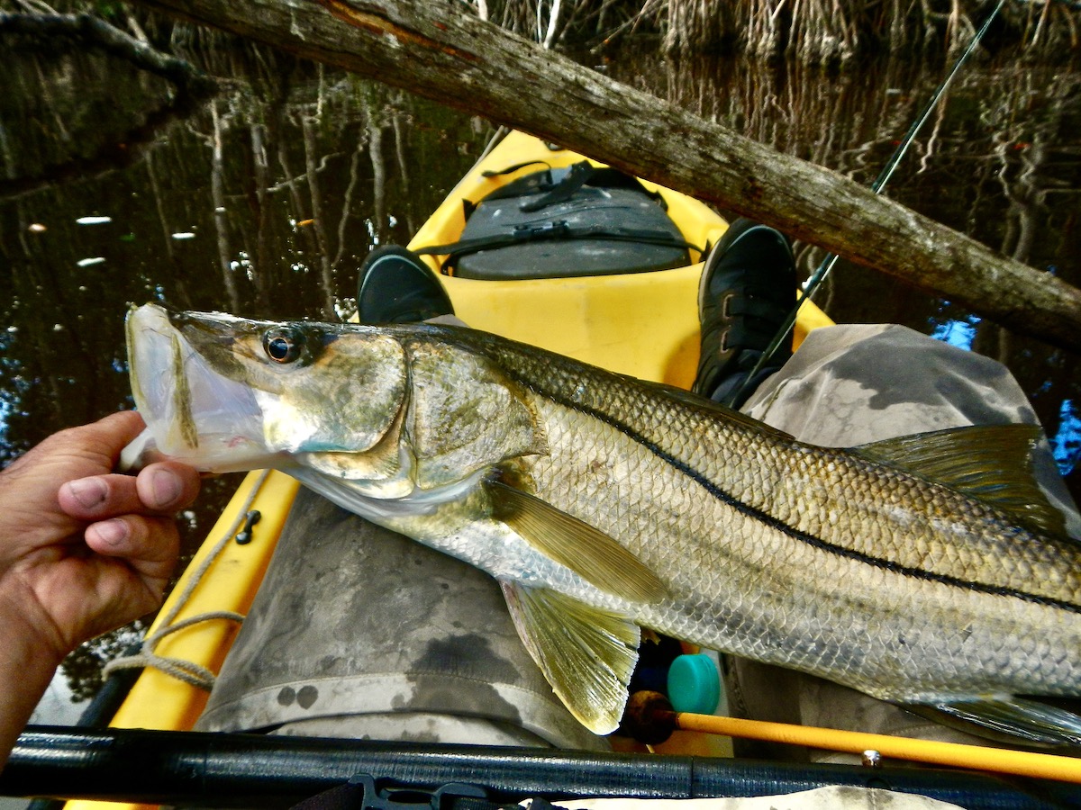 small stream snook