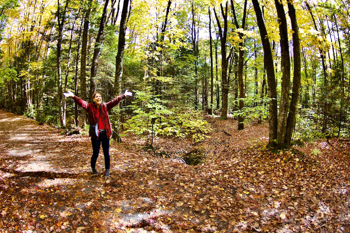 the wilderness trail