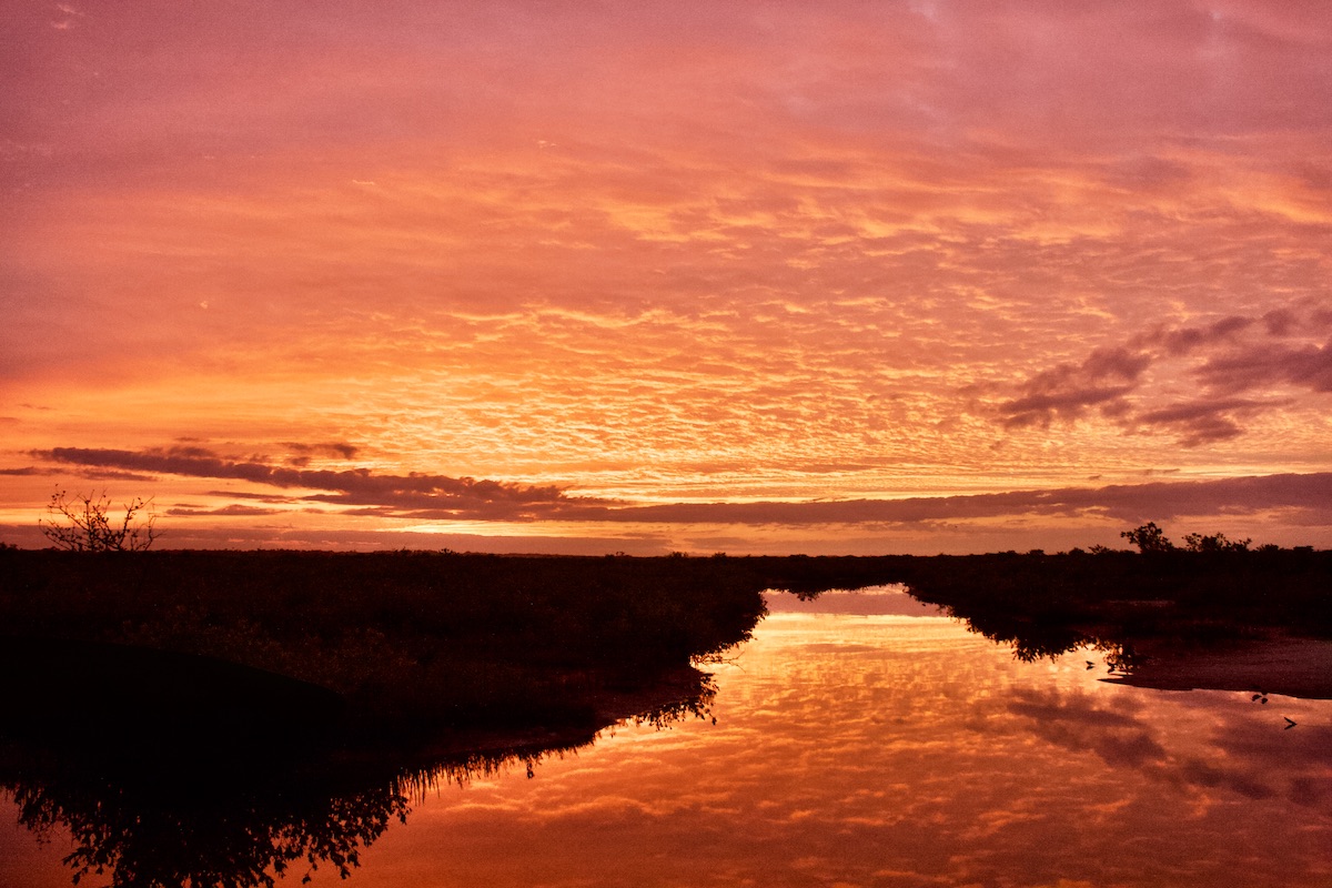 mosquito lagoon dawn