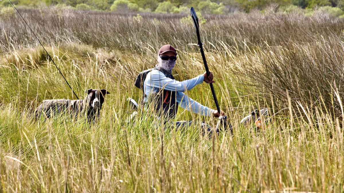 paddling through the marsh