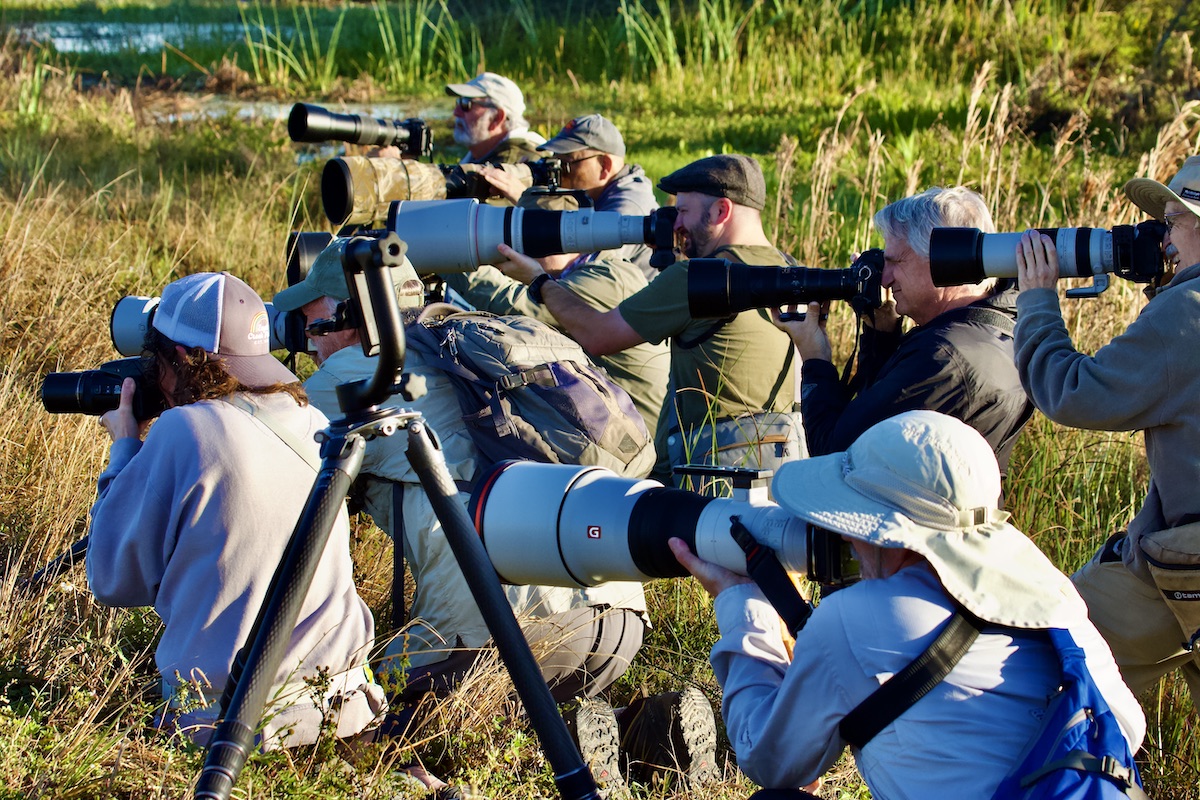 wildlife photographers at work