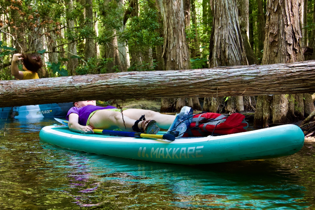 woman on paddle board goes under a fallen tree