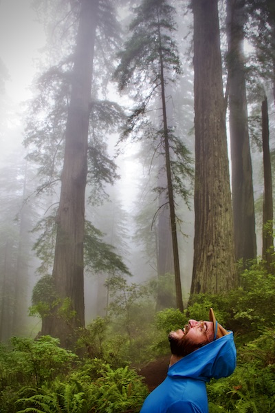 man stares at redwood trees