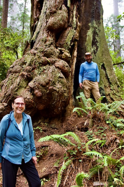 woman and man with redwood tree