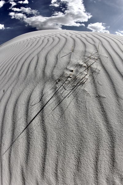 at white sands np