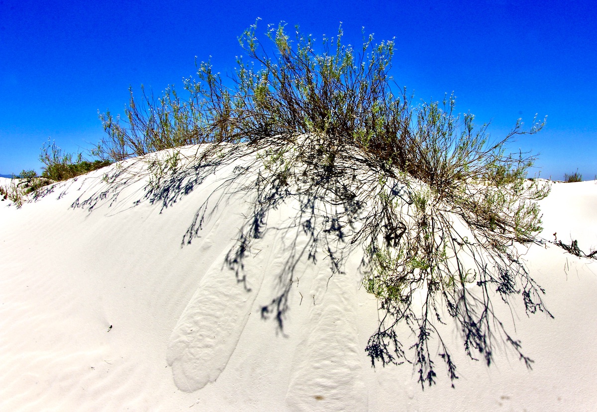 White Sands National Park