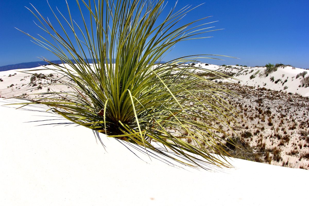 White Sands National Park