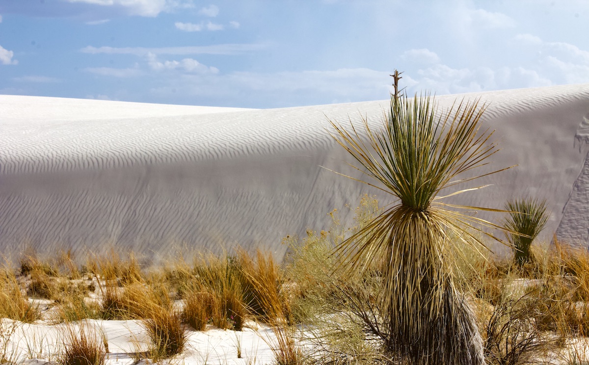 at White Sands National Park