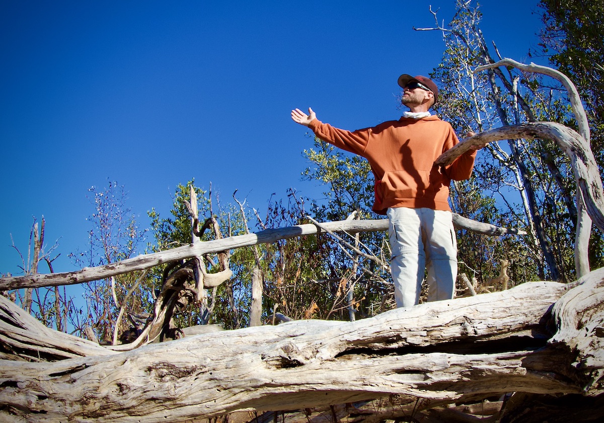 man on trees