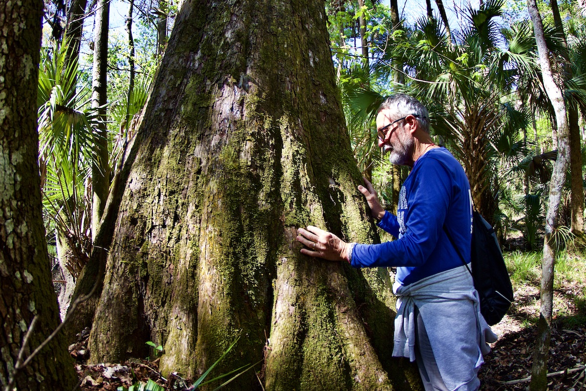 man hugging tree