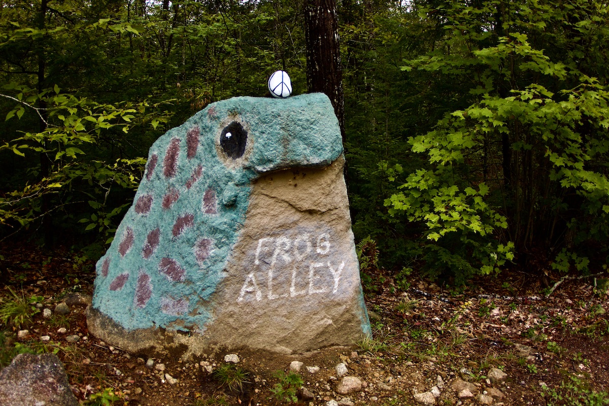 stone frog