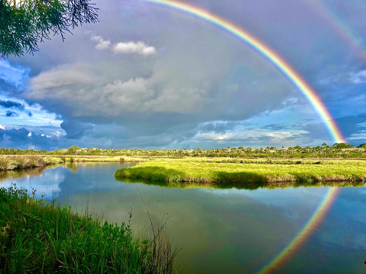 salt marsh rainbow