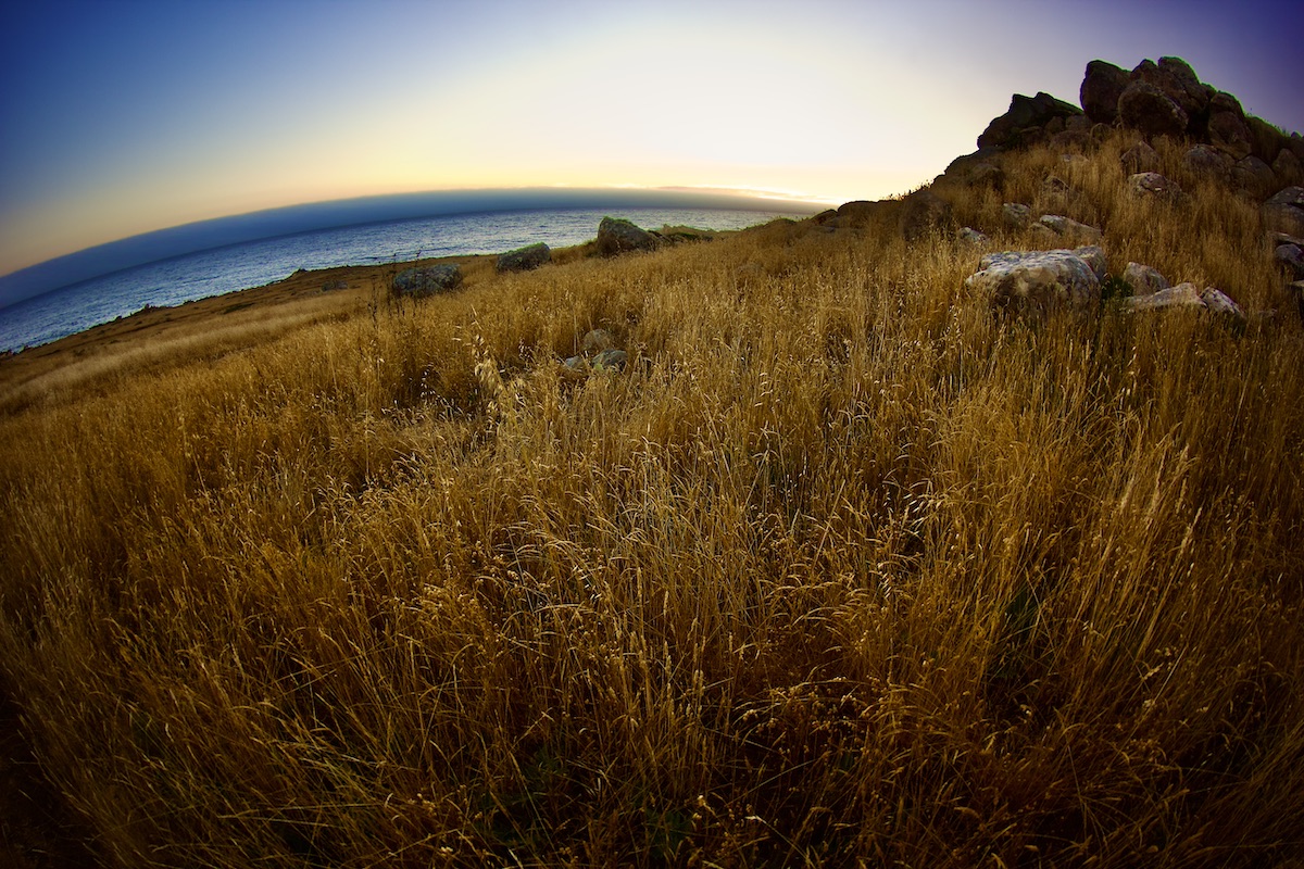 pacific sunset