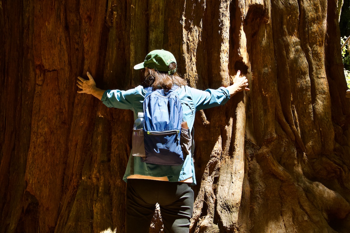 woman hugging redwood tree