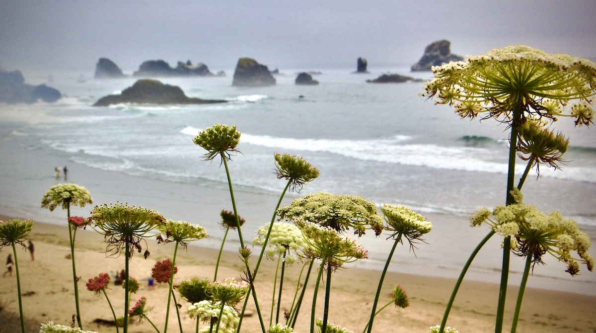 view of Oregon Coast