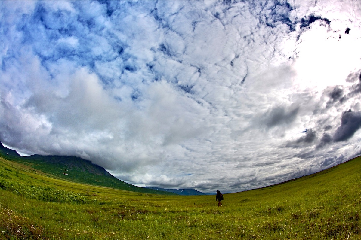 man walking across tundra