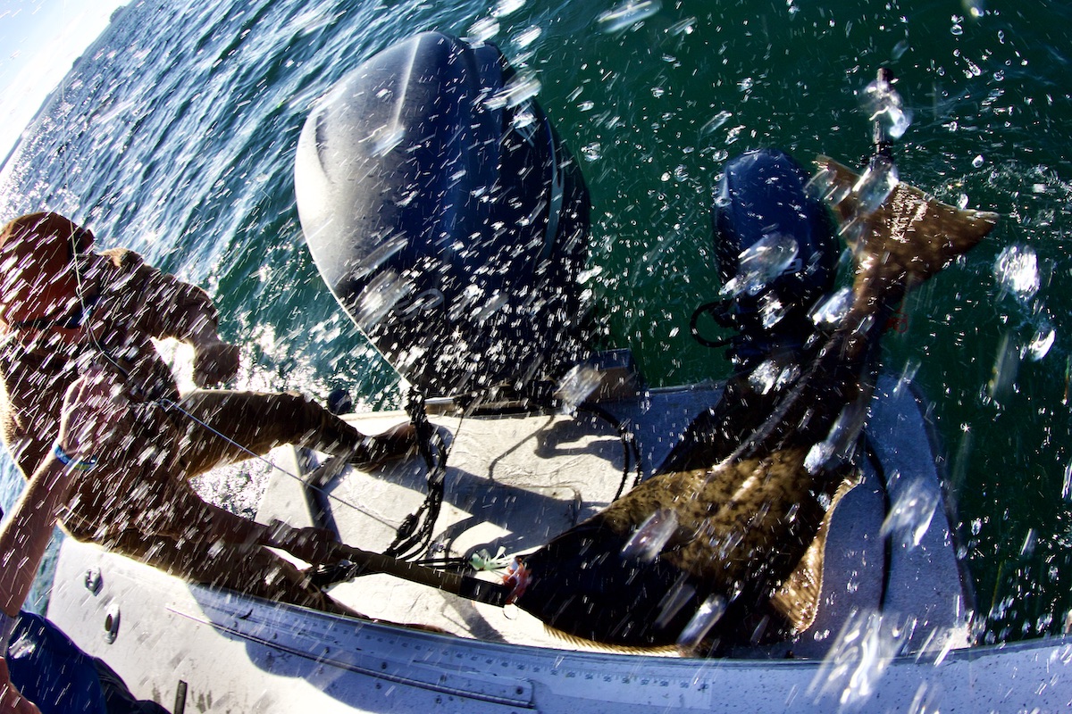 boating a halibut