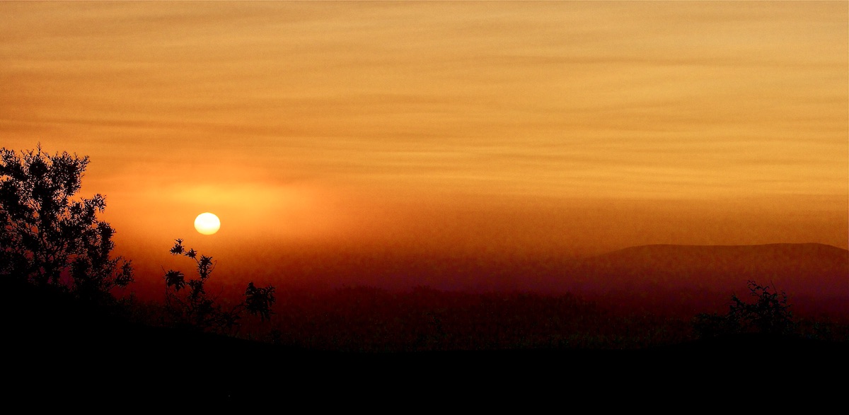 foggy sunrise