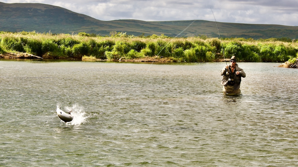 fly fisherman fighting salmon