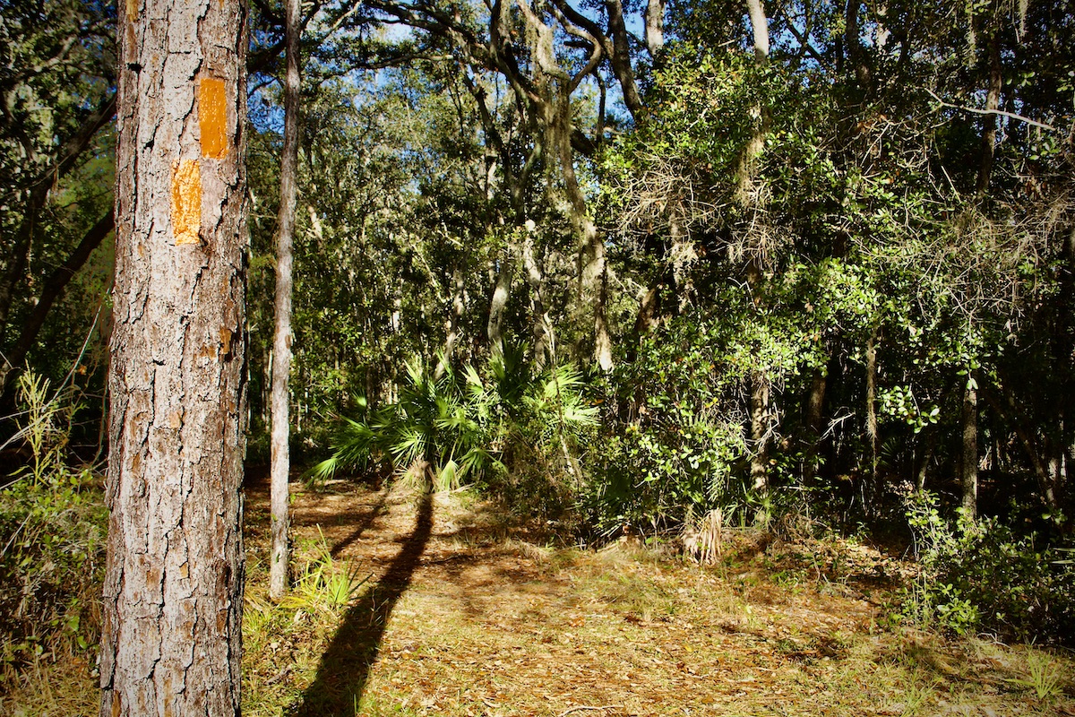 Florida Trail