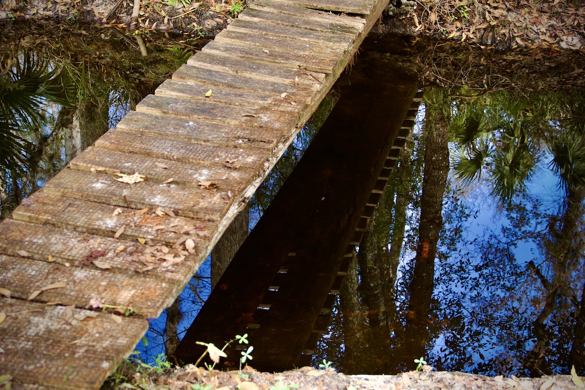 footbridge over stream