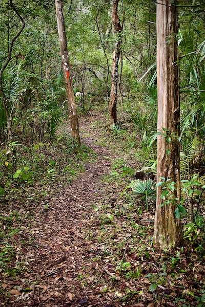 florida trail