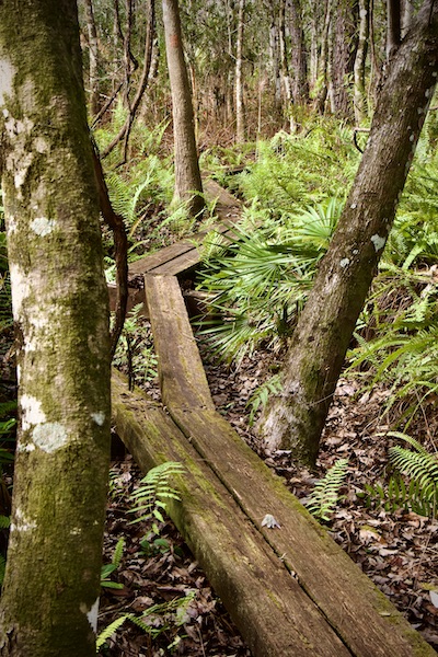 mud bridge