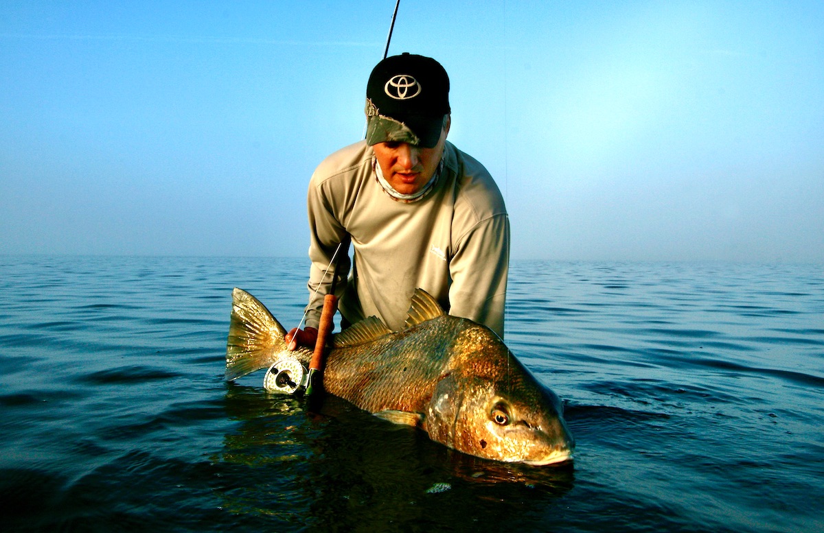 fly fisher with black drum