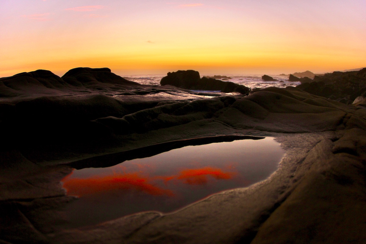 selection in a tide pool at dusk